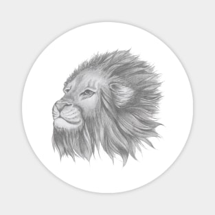 Lion Head Magnet